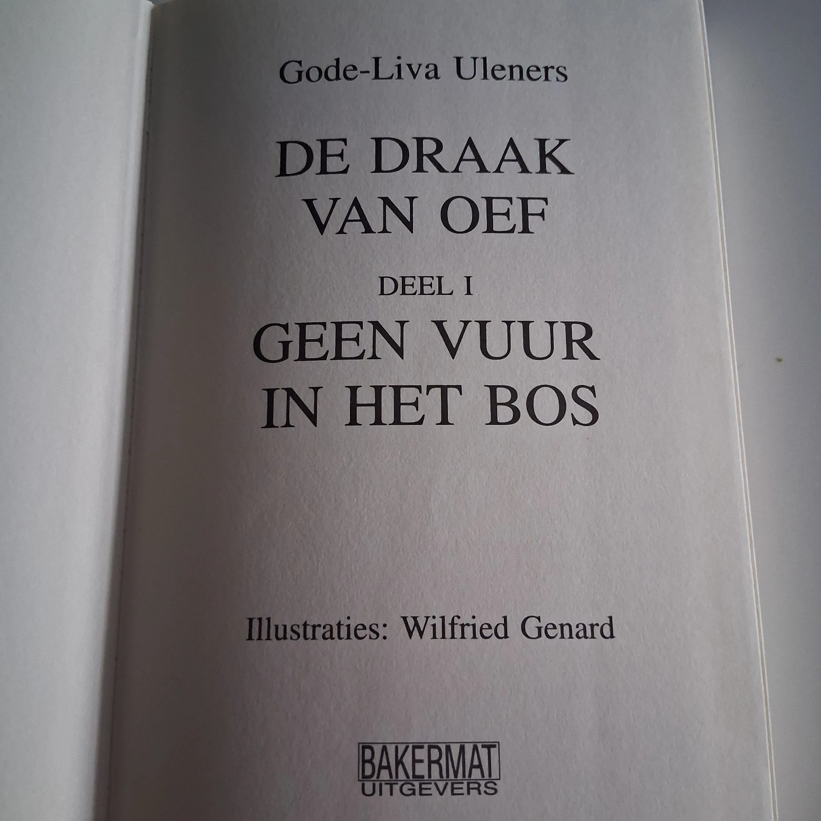 Livre pour enfants - Gode-Liva Uleners - Le Dragon d'Oef - Pas de feu dans la forêt – photo 3